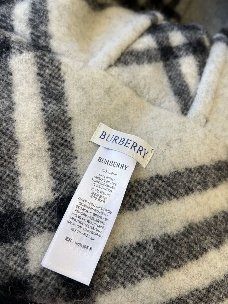 Burberry Caps Scarfs